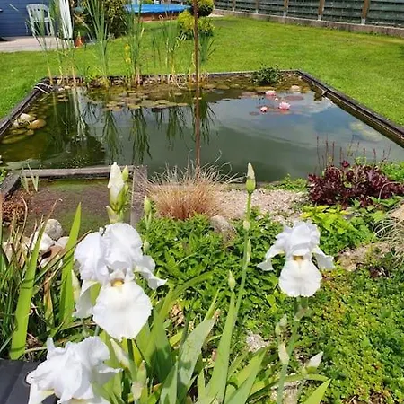 Ferienhaus Et D'hotes En Champagne Courtisols