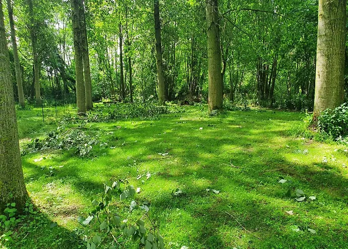 Et D'hotes En Champagne *